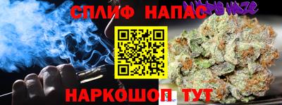 крисы Дубна