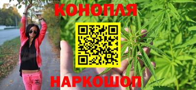 гашик Донской