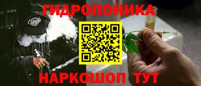 гашик Донской