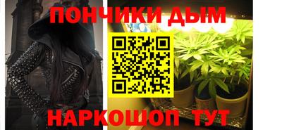 крисы Дубна