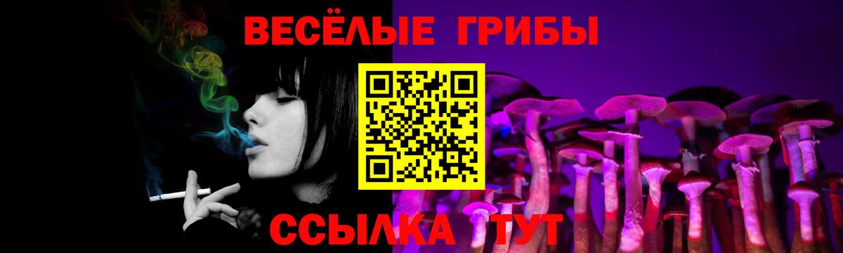 дарнет шоп  Вход с VPN  Нижневартовск  Галлюциногенные грибы мицелий 